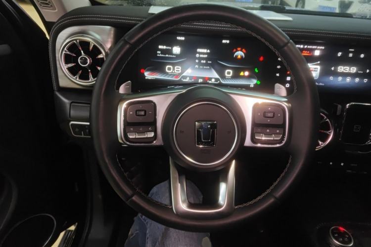 Used Tank 300 2023 City Edition 2.0T—Stylish as Ever Steering Wheel