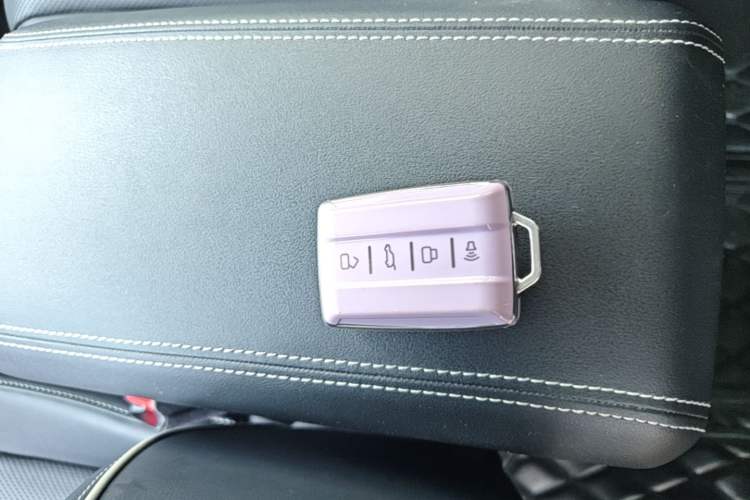Used Tank 300 2023 City Edition 2.0T—Stylish as Ever Vehicle Key