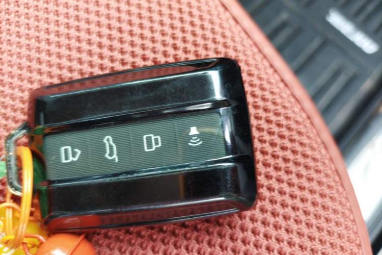 Used Tank 300 2023 Off-Road Edition 2.0T Conqueror Vehicle Key