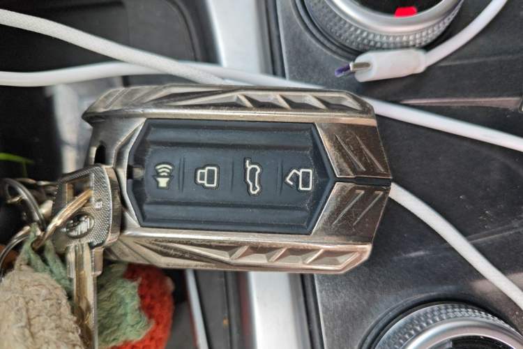 Used Tank 300 2023 Off-Road Edition 2.0T Conqueror Vehicle Key