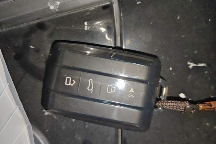 Used Tank 300 2023 Off-Road Edition 2.0T Conqueror Vehicle Key