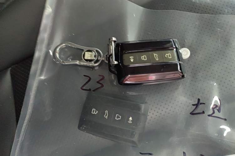 Used Tank 300 2023 Off-Road Edition 2.0T Conqueror Vehicle Key
