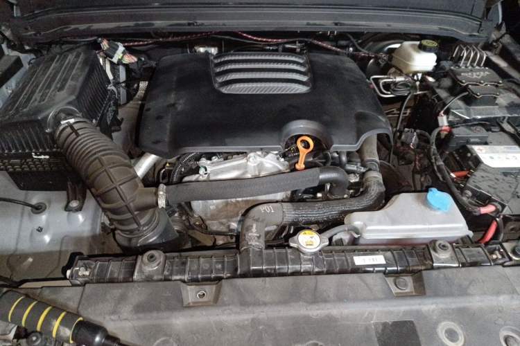 Used Tank 300 2023 2.0T Iron Rider 02 Engine Bay