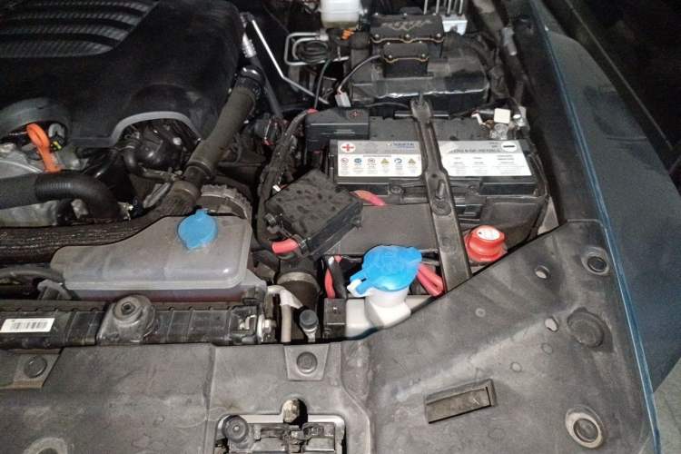 Used Tank 300 2023 2.0T Iron Rider 02 Engine Bay Left