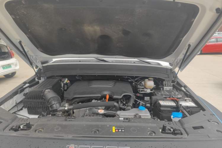 Used Tank 300 2023 2.0T Iron Rider 02 Engine Bay