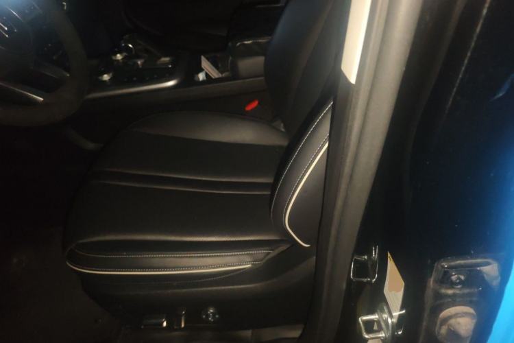 Used Tank 300 2023 City Edition 2.0T—Stylish as Ever Left Front Seat