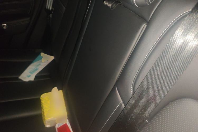 Used Tank 300 2023 City Edition 2.0T—Stylish as Ever Left Rear Seat