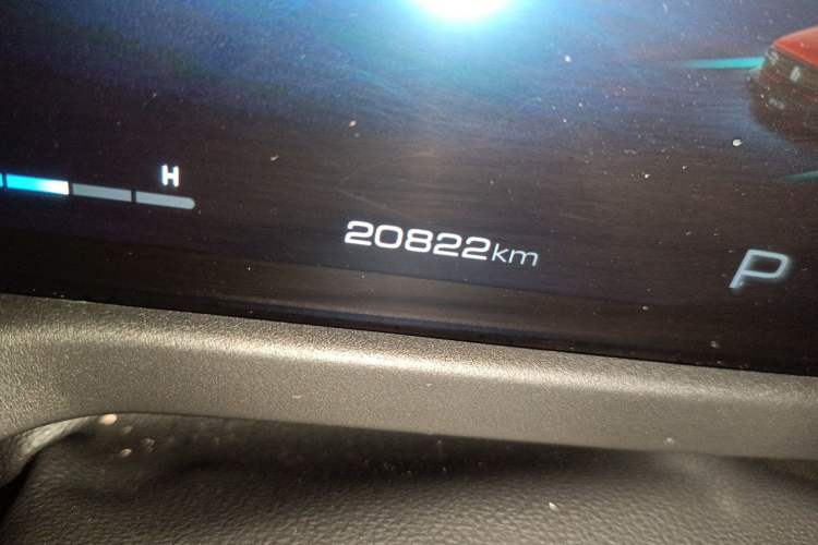 Used Tank 300 2023 2.0T Iron Rider 02 Odometer Close Up