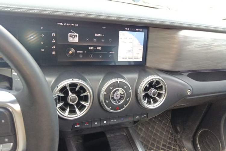 Used Tank 300 2023 Off-Road Edition 2.0T Conqueror Audio And AC Panel