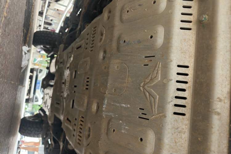 Used Tank 300 2023 Off-Road Edition 2.0T Conqueror Chassis Front