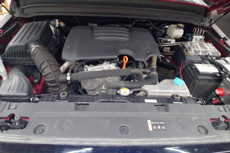 Used Tank 300 2023 Off-Road Edition 2.0T Conqueror Engine Bay