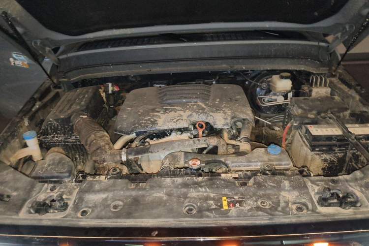 Used Tank 300 2023 Off-Road Edition 2.0T Conqueror Engine Bay