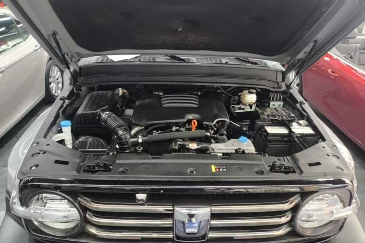 Used Tank 300 2023 City Edition 2.0T—Stylish as Ever Engine Bay