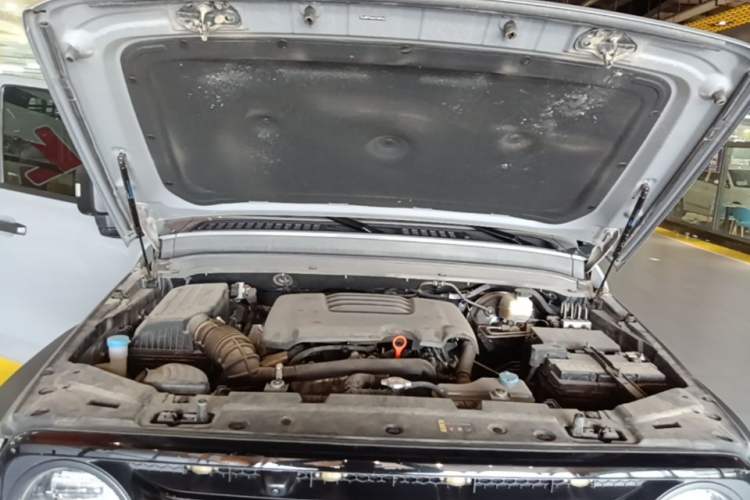 Used Tank 300 2023 Off-Road Edition 2.0T Conqueror Engine Bay