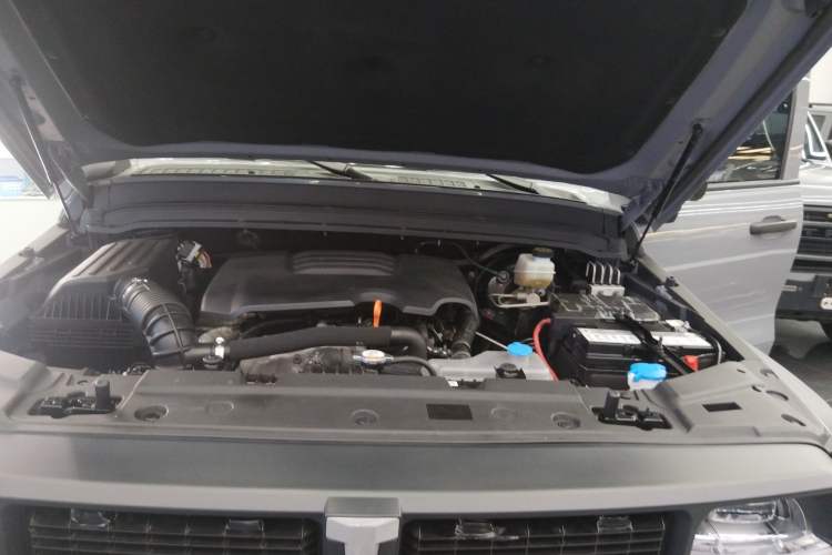 Used Tank 300 2023 2.0T Iron Rider 02 Engine Bay