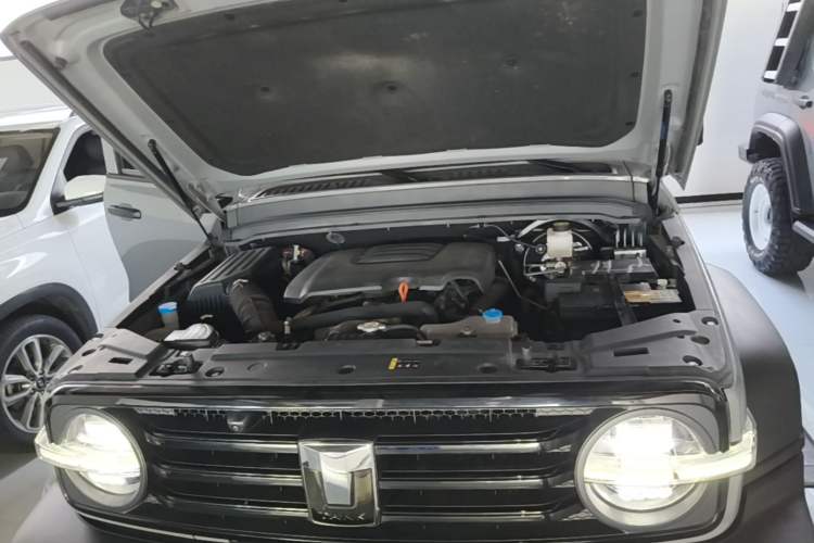 Used Tank 300 2023 Off-Road Edition 2.0T Conqueror Engine Bay