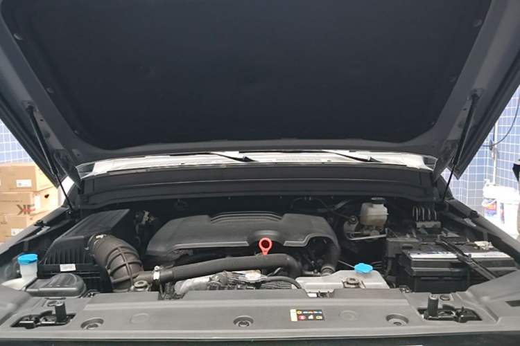 Used Tank 300 2023 Off-Road Edition 2.0T Conqueror Engine Bay