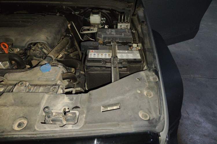 Used Tank 300 2023 Off-Road Edition 2.0T Conqueror Engine Bay Left