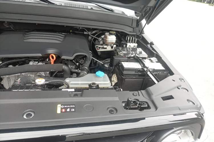 Used Tank 300 2023 Off-Road Edition 2.0T Conqueror Engine Bay Left