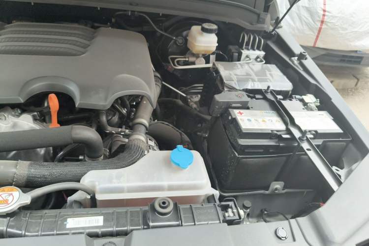 Used Tank 300 2023 Off-Road Edition 2.0T Conqueror Engine Bay Left