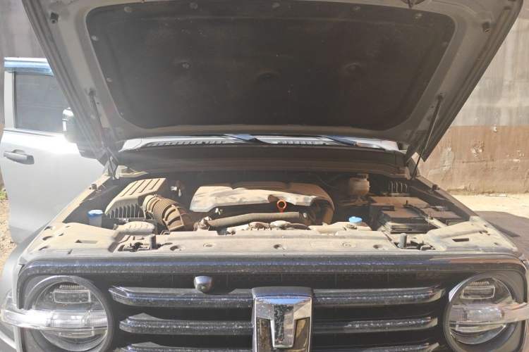 Used Tank 300 2023 Off-Road Edition 2.0T Conqueror Engine Bay