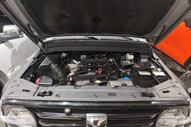 Used Tank 300 2023 Off-Road Edition 2.0T Conqueror Engine Bay