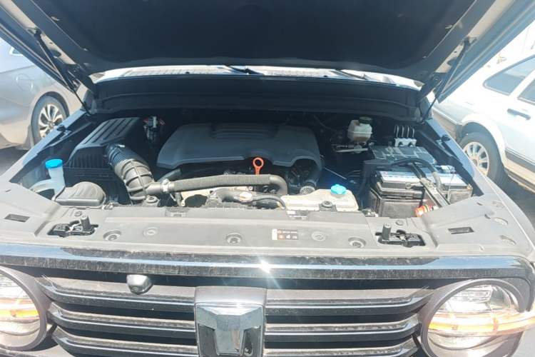 Used Tank 300 2023 Off-Road Edition 2.0T Conqueror Engine Bay