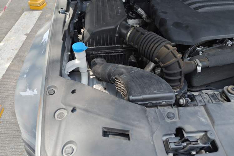 Used Tank 300 2023 City Edition 2.0T—Stylish as Ever Engine Bay Right
