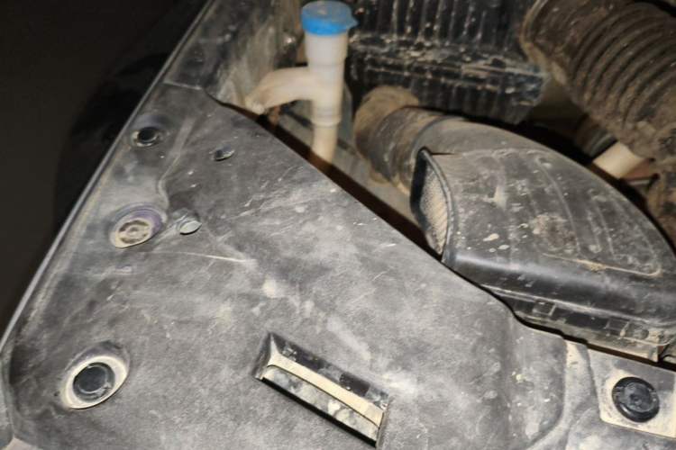 Used Tank 300 2023 Off-Road Edition 2.0T Conqueror Engine Bay Right