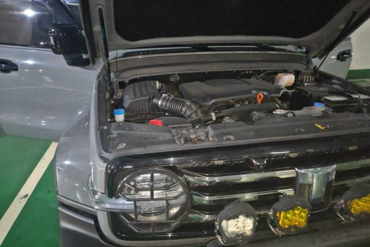Used Tank 300 2023 City Edition 2.0T—Stylish as Ever Engine Bay Right