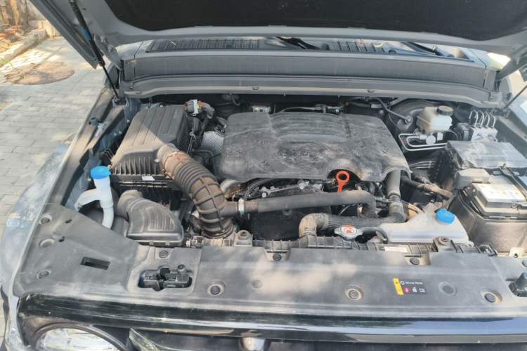 Used Tank 300 2023 City Edition 2.0T—Stylish as Ever Engine Bay Right