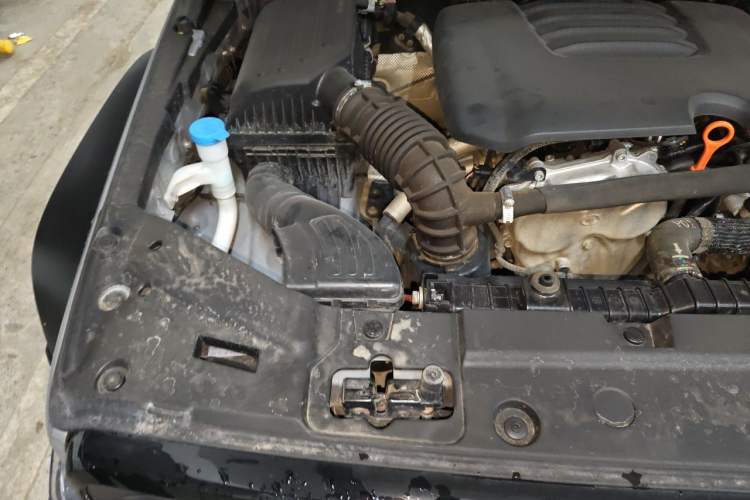 Used Tank 300 2023 Off-Road Edition 2.0T Conqueror Engine Bay Right