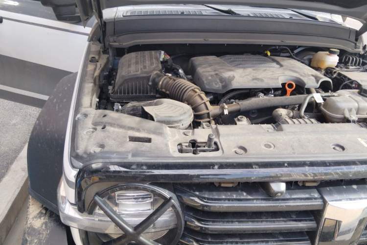 Used Tank 300 2023 Off-Road Edition 2.0T Conqueror Engine Bay Right
