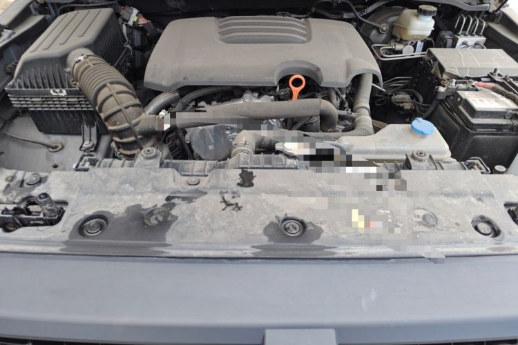 Used Tank 300 2023 2.0T Iron Rider 02 Engine Bay