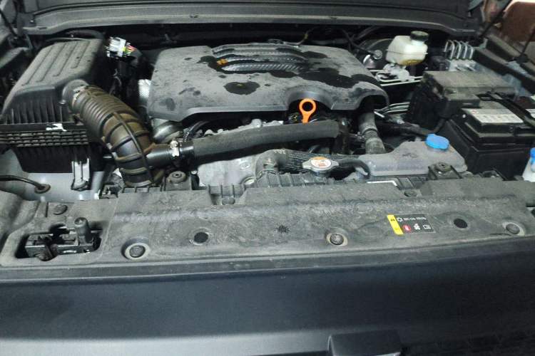 Used Tank 300 2023 2.0T Iron Rider 02 Engine Bay