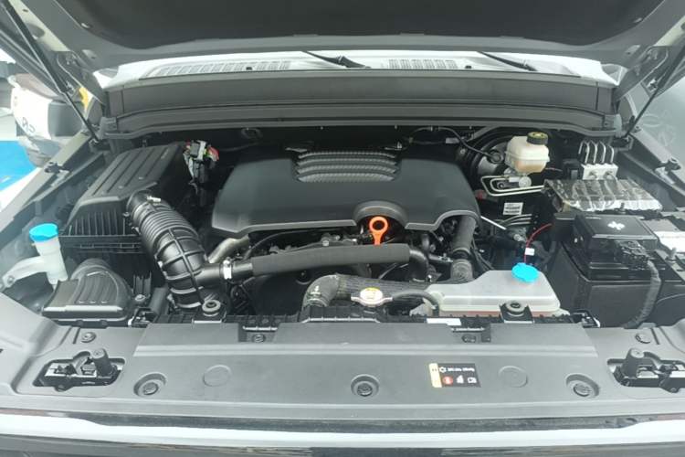 Used Tank 300 2023 City Edition 2.0T—Stylish as Ever Engine Bay