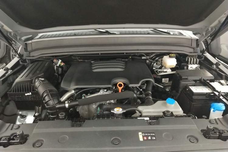 Used Tank 300 2023 2.0T Iron Rider 02 Engine Bay