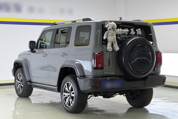 Used Tank 300 2023 City Edition 2.0T—Stylish as Ever Exterior 2