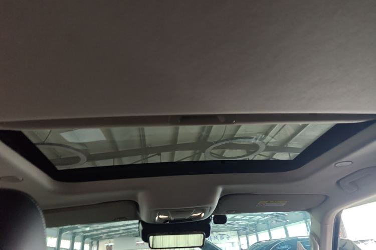 Used Tank 300 2023 City Edition 2.0T My Vision Model Headliner