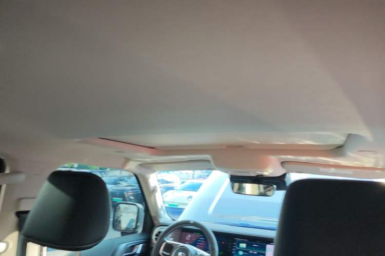Used Tank 300 2023 City Edition 2.0T—Stylish as Ever Headliner
