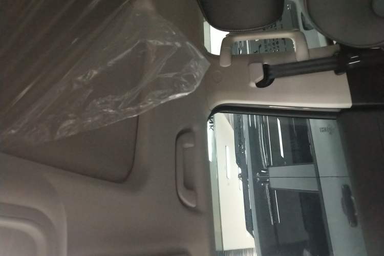 Used Tank 300 2023 2.0T Iron Rider 02 Headliner