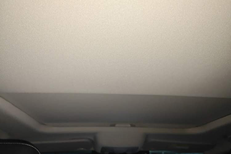 Used Tank 300 2023 Off-Road Edition 2.0T Conqueror Headliner