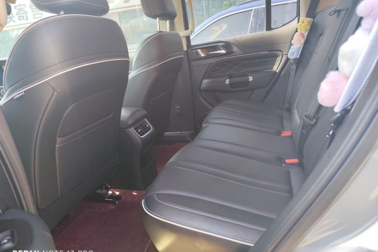 Used Tank 300 2023 City Edition 2.0T Essential Model Interior 6