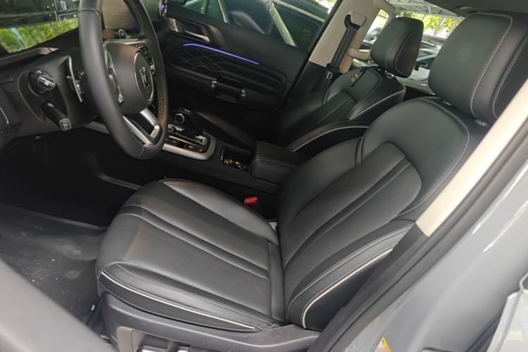 Used Tank 300 2023 Off-Road Edition 2.0T Conqueror Left Front Seat
