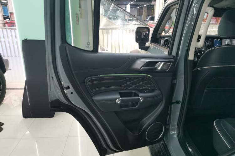 Used Tank 300 2023 Off-Road Edition 2.0T Conqueror Left Rear Door Interior