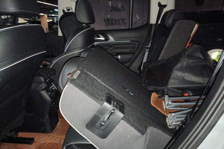 Used Tank 300 2023 Off-Road Edition 2.0T Conqueror Left Rear Seat