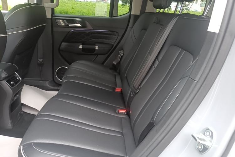 Used Tank 300 2023 Off-Road Edition 2.0T Conqueror Left Rear Seat