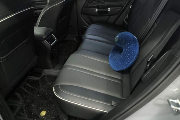 Used Tank 300 2023 City Edition 2.0T—Stylish as Ever Left Rear Seat
