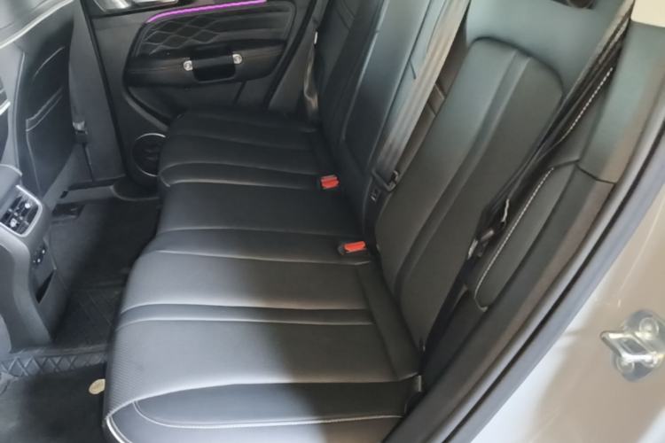 Used Tank 300 2023 Off-Road Edition 2.0T Conqueror Left Rear Seat