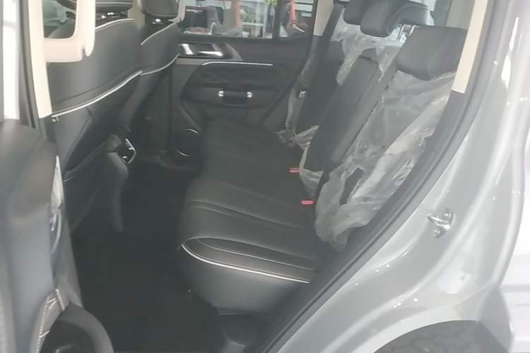 Used Tank 300 2023 City Edition 2.0T—Stylish as Ever Left Rear Seat